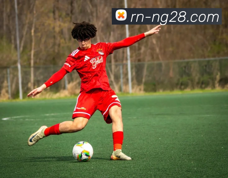 南宫NG28官网平台生态图