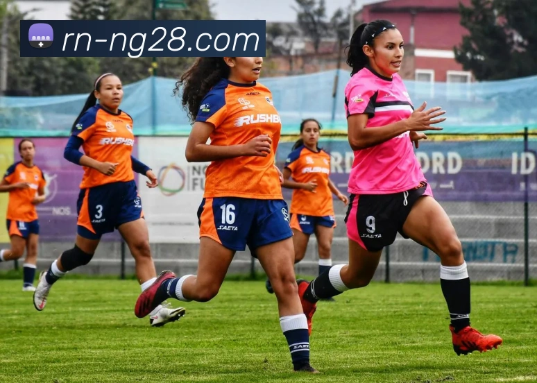 南宫NG28官网全站App